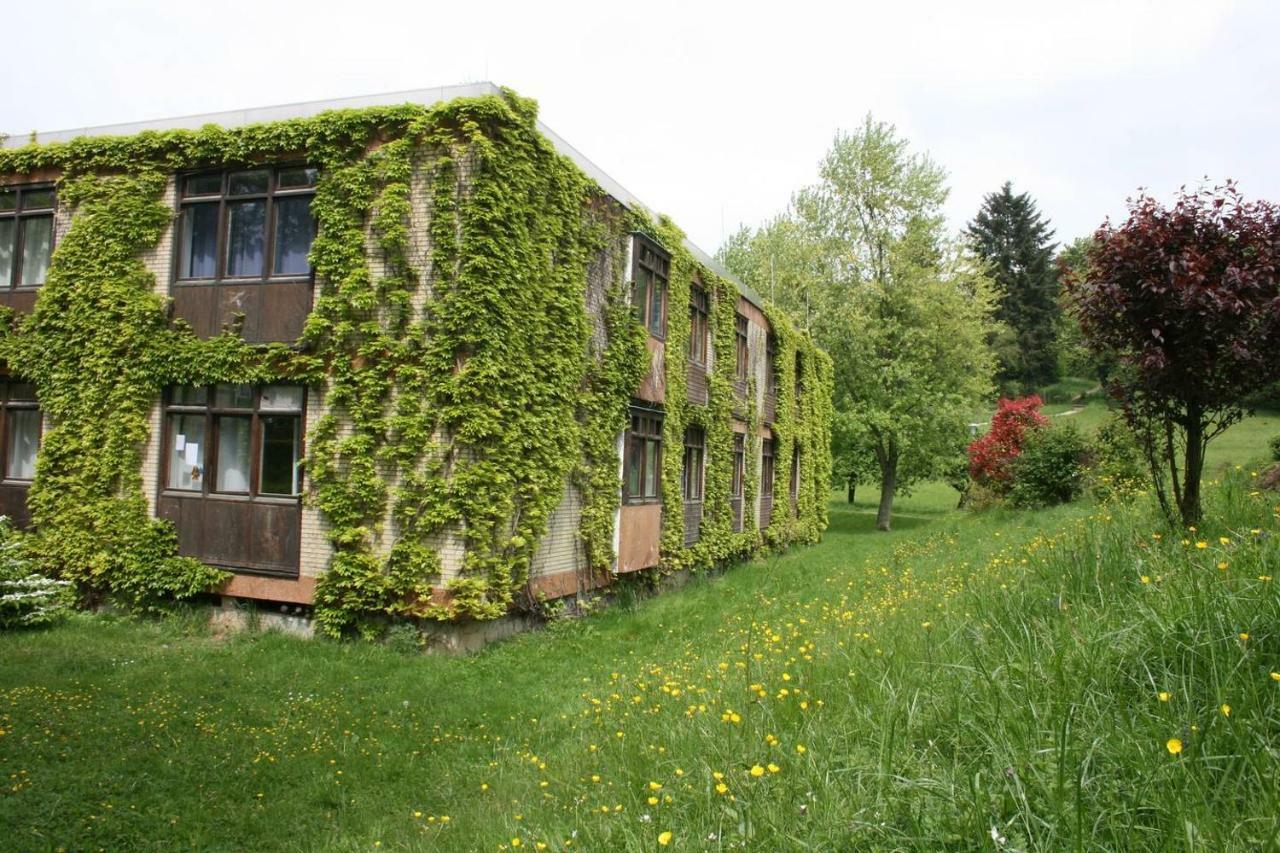 Parkblick Appartement - Entspannung Pur! Ober-Hambach Zewnętrze zdjęcie